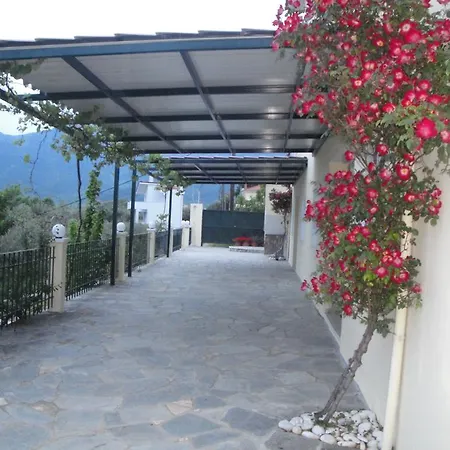 Apartment Nestor