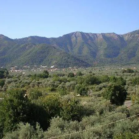 Nestor Apartment